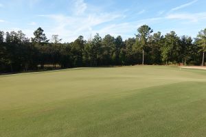 Tree Farm 15th Green